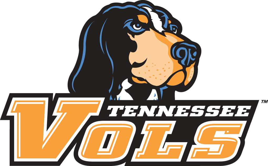 Tennessee Volunteers 2005-Pres Alternate Logo v2 DIY iron on transfer (heat transfer)...